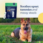 Honest Paws Probióticos para Perros - Polvo Digestivo con Prebióticos y Sabor a Calabaza (30 sticks)