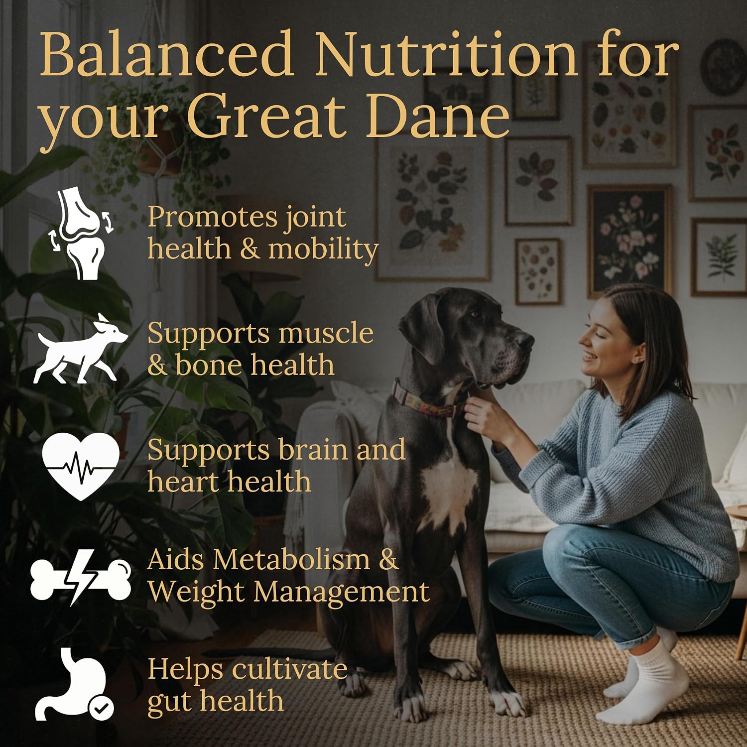 Prestige Breed Multivitamínicos para Gran Danés, 90 comprimidos sabor bacon