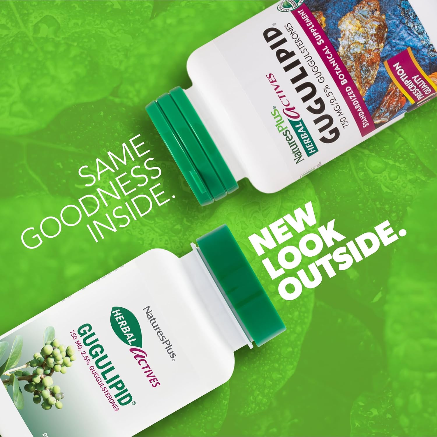 NaturesPlus Herbal Actives Gugulipid - 750 mg, 2,5 % Guggulsteronas - 60 Cápsulas Veganas