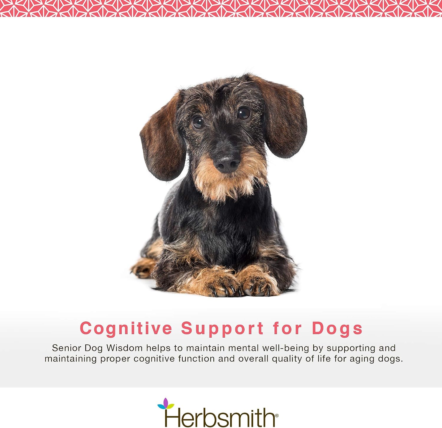 Herbsmith Senior Dog Wisdom – Dog Dementia Supplement – DHA for Senior Dog Brain Health – Senior Supplement for Dogs – 75g