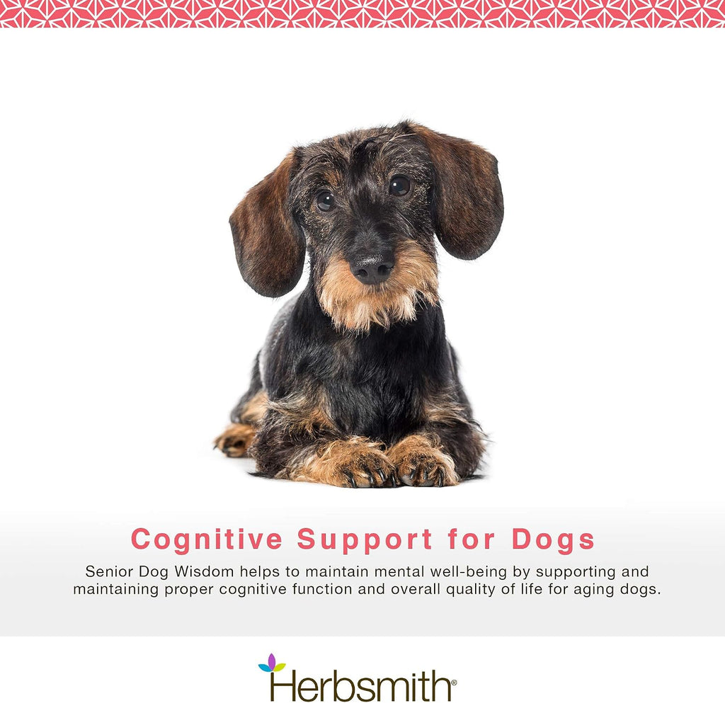 Herbsmith Senior Dog Wisdom – Suplemento para la salud cerebral de perros mayores, 60 masticables