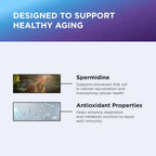 DR. EMIL NUTRITION Spermidina 5 mg – Suplemento de Espermidina con Tiamina 20 mg – 60 Cápsulas