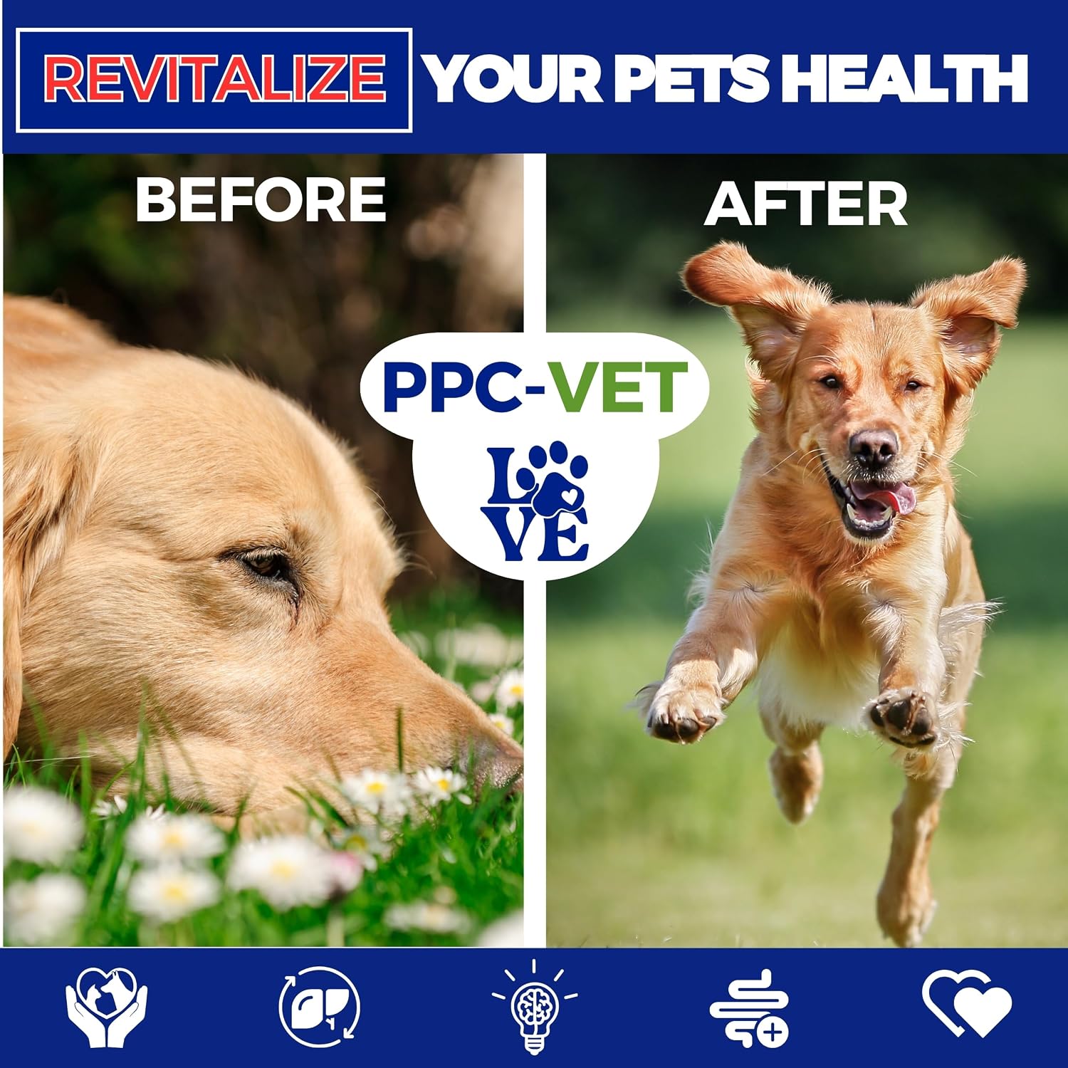 Nutrasal PPC-Vet Fosfatidilcolina Polinsaturada - Suplemento Hepático y Cerebral para Perros y Gatos - 1000 mg/5mL - Líquido Liposomal 236 ml