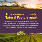 Extracto de Semilla de Apio de Natural Factors – Suplemento Herbal para la Circulación, 60 Cápsulas