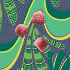 Kuli Kuli Super Gummies - Suplemento para la piel con baobab, saúco y biotina - 60 gominolas veganas, sin gluten