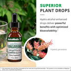 NutraMedix Tangarana Gotas - Extracto de Palo Santo (Triplaris peruviana) - 30 ml
