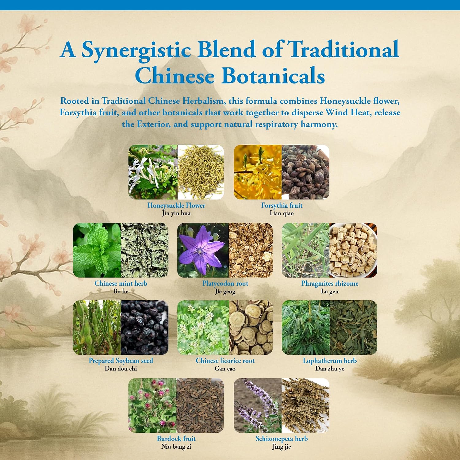 Kan Herbs Yin Qiao – Fórmula Herbal Tradicional China, 120 Comprimidos