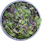 BeMicro Whole Food Microgreens - Mezcla de Brócoli, Col y Rábano - 5g