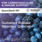 Tesseract Medical Research QuerciSorb SR - Suplemento de Quercetina 400 mg, Liberación Sostenida, 90 Días