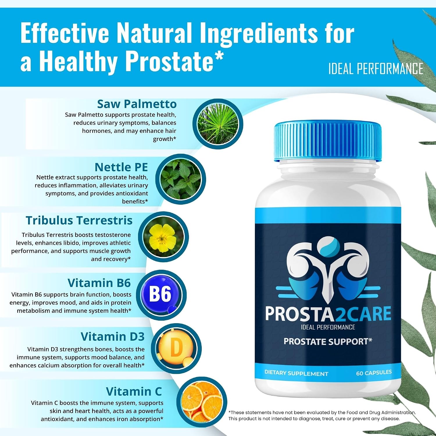Prosta2Care for Men - Complemento para la Salud de la Próstata (3 Envases)