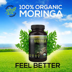 Cápsulas de Moringa en Polvo 100% Pura y Ecológica - 120 Cápsulas de 500 mg