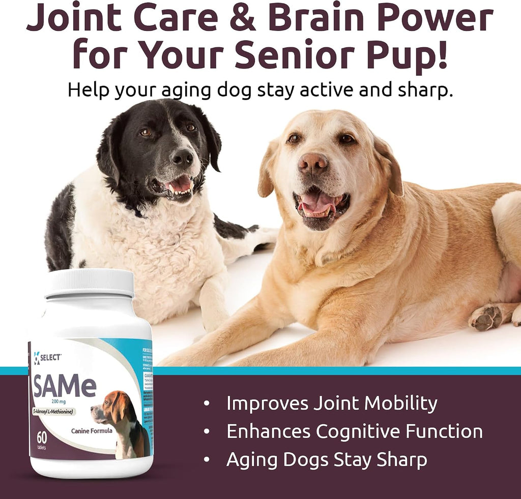 SAM-e para perros adultos medianos y grandes, 60 comprimidos, 200 mg de S-Adenosil-L-Metionina Activa