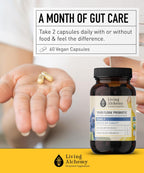 Your Flora Probiotic Family – Probióticos No-GMO con Soja Fermentada, Plátano y Arándano – 60 Cápsulas – Living Alchemy