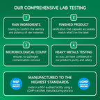 BioEmblem NAD+ Suplemento | 300 mg Nicotinamida Ribósido con CoQ10 y Resveratrol | Apoya el Envejecimiento Saludable, Energía Celular y Función Cognitiva | No OGM, Sin Gluten - 45 Cápsulas