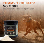 Balance Probiotic Blend for Dogs by Alpha Dog Nutrition