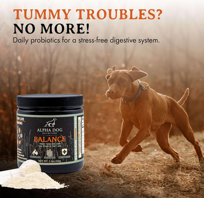 Balance Probiotic Blend for Dogs by Alpha – Contribución al fortalecimiento de las defensas naturales: Una parte – Image 3