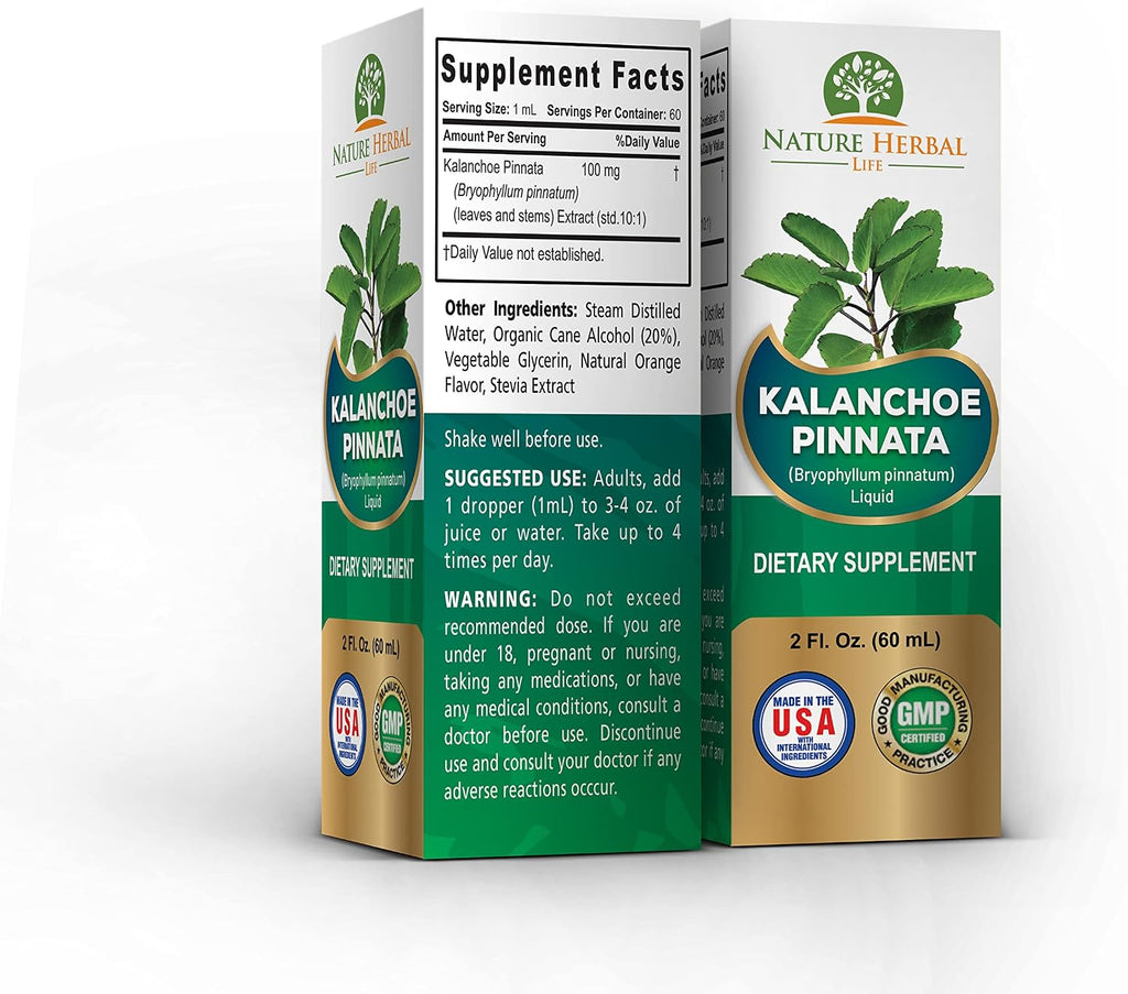 Kalanchoe Pinnata (Bryophyllum Pinnatum) Glicerita - Extracto Líquido de Hojas y Tallos - Suplemento Herbal Antioxidante - 60 ml