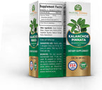 Kalanchoe Pinnata (Bryophyllum Pinnatum), Glicerito, Extracto Líquido de Hojas y Tallos Secos. Suplemento Herbal, Antioxidantes de Kalanchoe Pinnata-Siempreviva. 1 Frasco. 60 ml