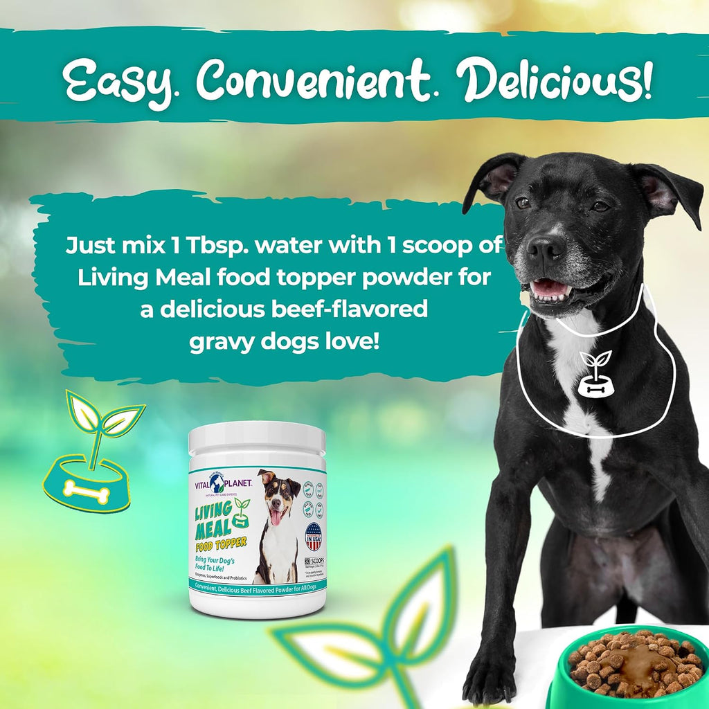 Vital Planet Living Meal Alimento para Perros en Polvo con Enzimas, Superalimentos y Probióticos - 111 g (30 dosis)