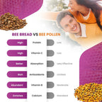 Cápsulas de Pan de Abeja HONEYBEEZONE – Superalimento Rico en Nutrientes para Energía y Apoyo Inmunológico | Sin OGM, Sin Gluten, 60 Cápsulas Vegetales