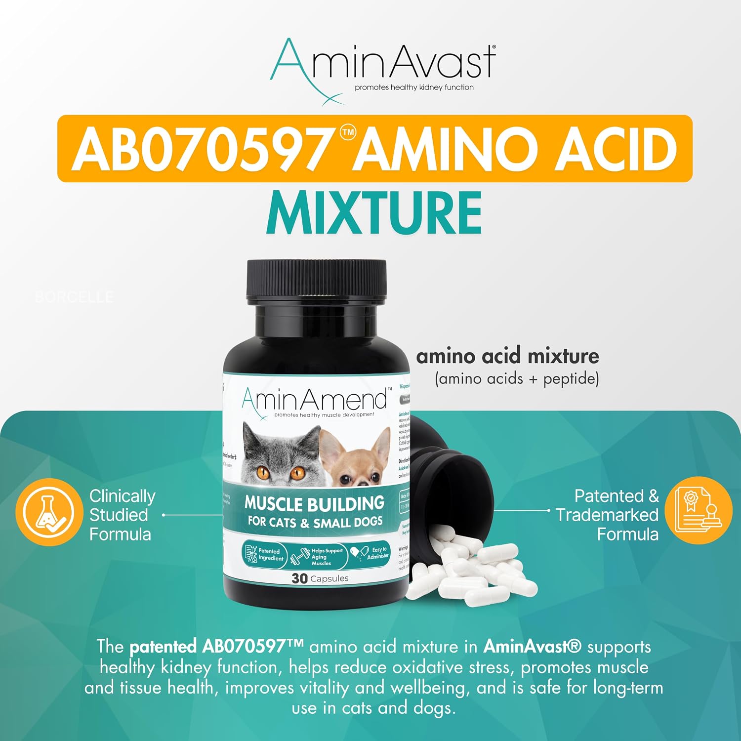 AminAvast Suplemento de Apoyo Renal para Gatos y Perros Pequeños, 300mg (Pack de 3) - 60 Cápsulas Espolvoreables