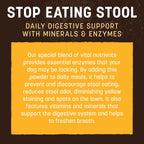 Earth Animal Apothecary Powder Supplement - Polvo Nutricional para Perros y Gatos - 227 g
