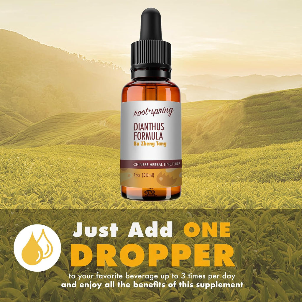 root + spring Dianthus Formula - Tintura de Ba Zheng Tang, Extracto Líquido 1 oz