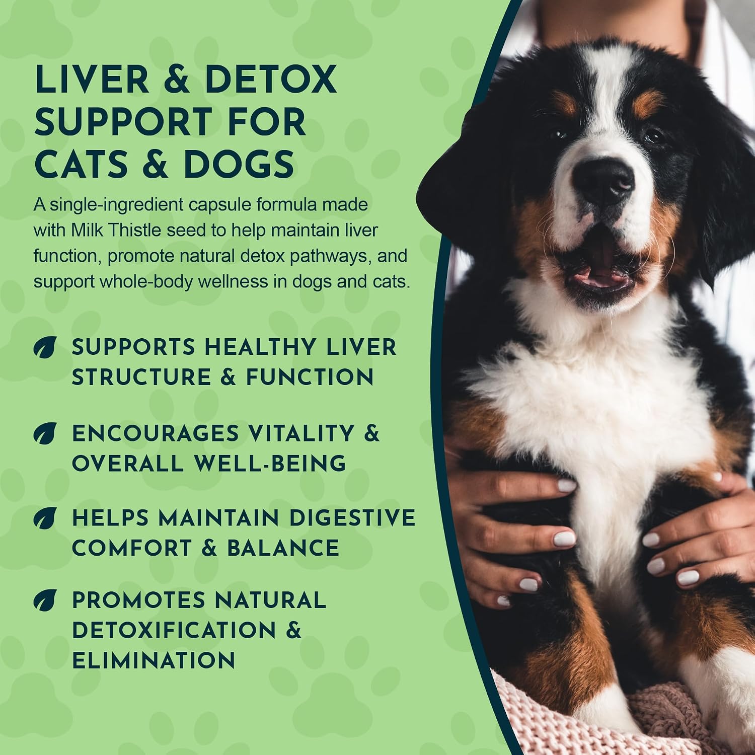 Animal Essentials Milk Thistle for Dogs and Cats - Liver Support, 150mg, Silymarin, Organic Herbal Capsules - 30 Count