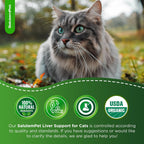 SalutemPet Cat Kidney Support - Cardo Mariano para Gatos - Suplemento Herbal para Riñones e Hígado - Sabor a Pollo - 2 oz