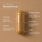 Beyond Focus Organic Mushroom Supplement - 30 Cápsulas