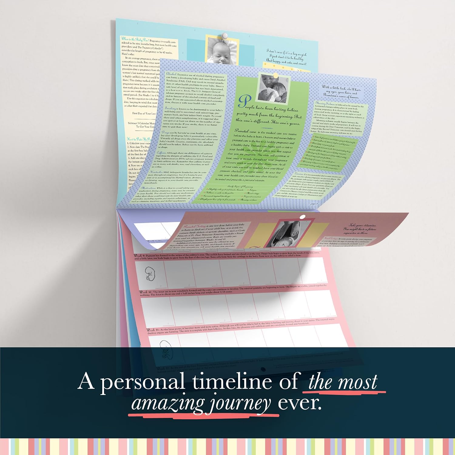 The Pregnancy Calendar: Your 40-Week Guide to Prenatal Care and Fetal Development