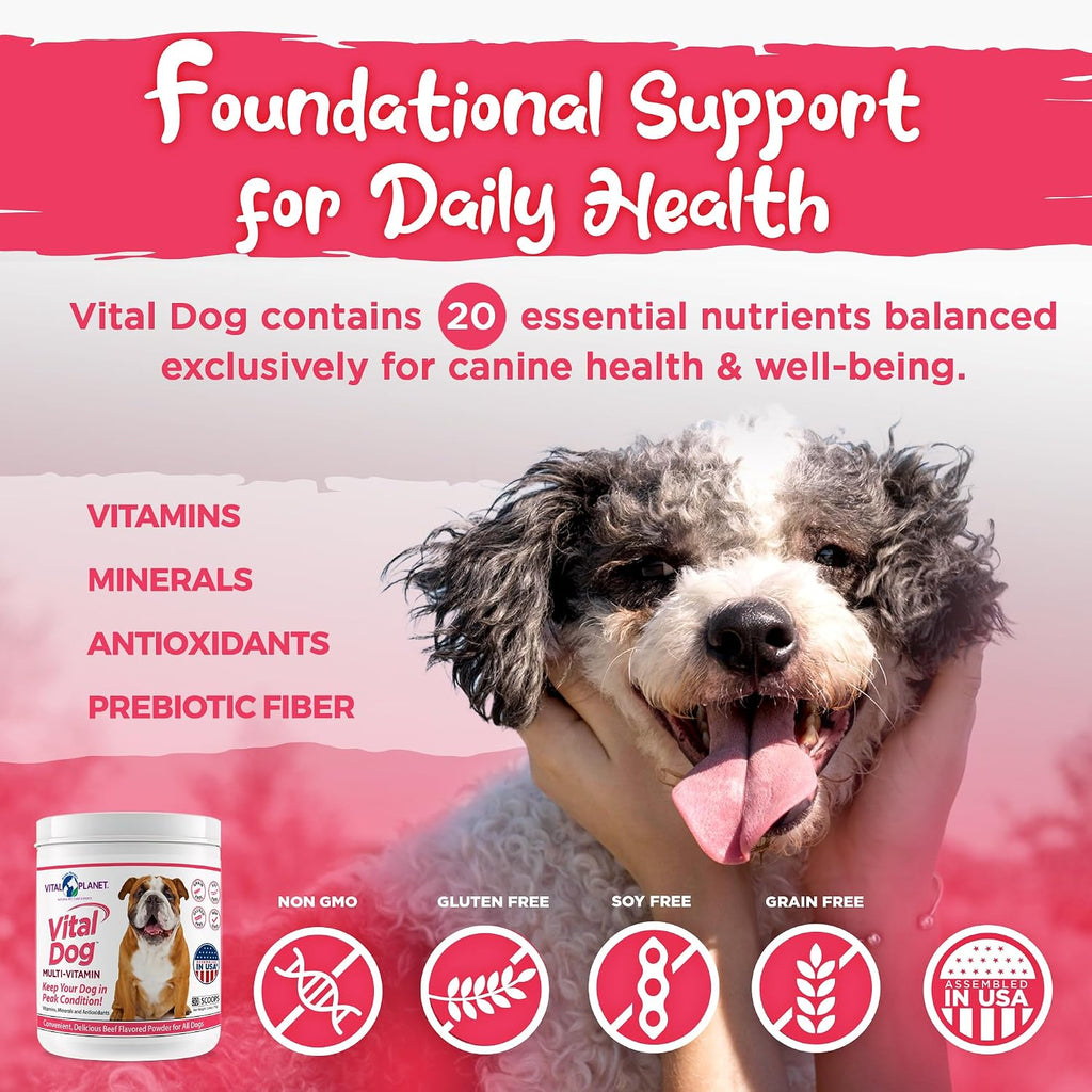 Vital Planet - Multivitamínico en Polvo Vital Dog para Perros, Sabor Carne de Res, 75 g (30 raciones)
