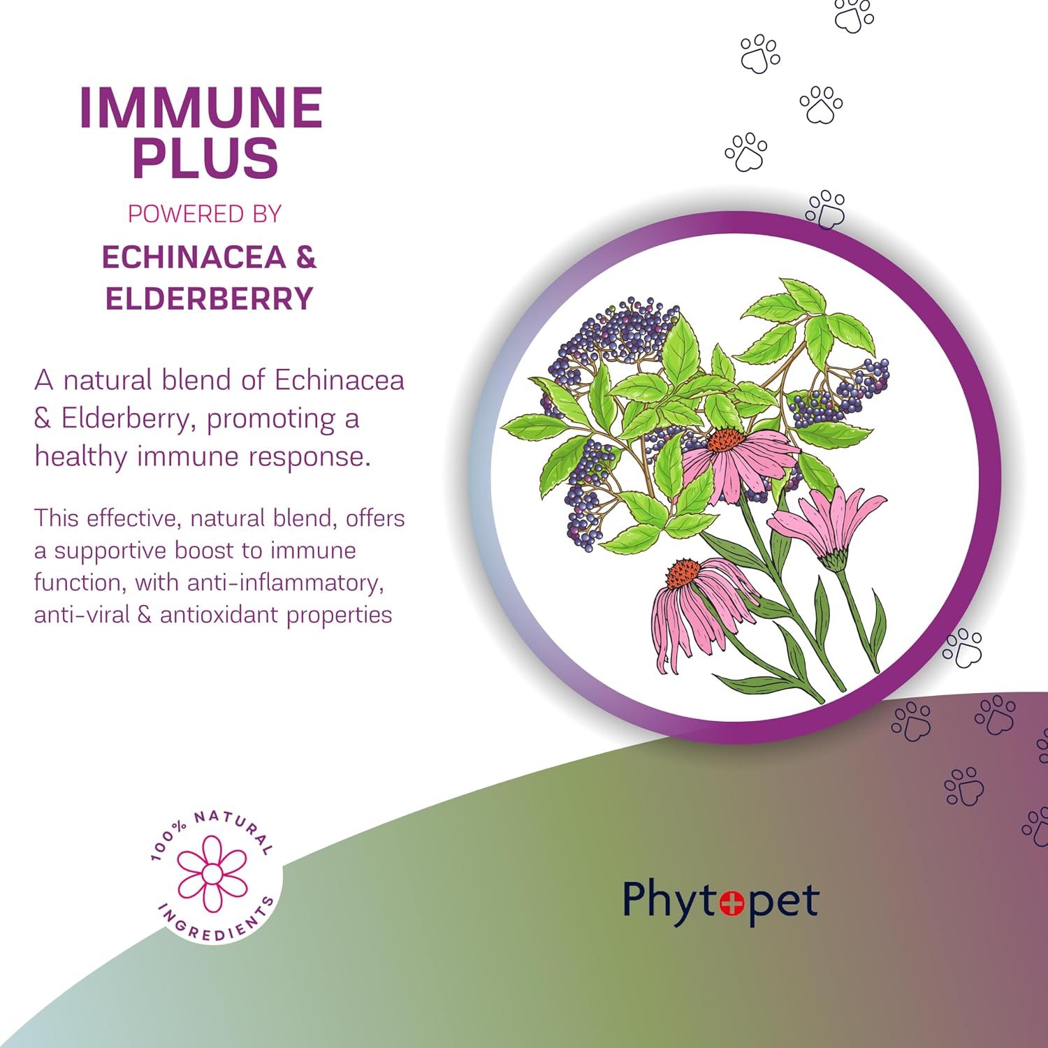 Phytopet Immune Plus - Suplemento herbal 100% natural de 30 ml para el sistema inmunitario de mascotas