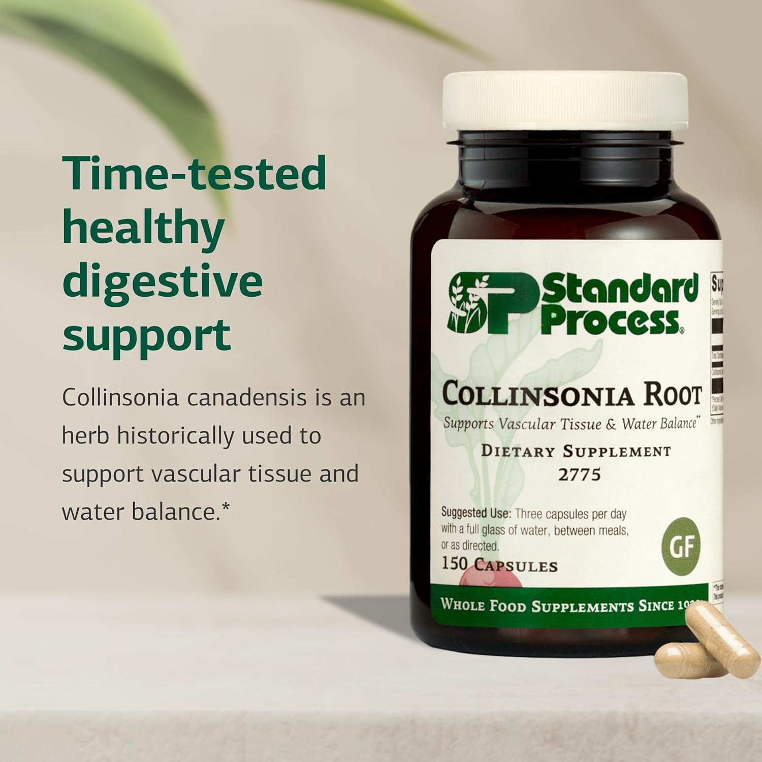 Standard Process Collinsonia Root - Suplemento de Raíz de Collinsonia para la Salud Vascular y Renal, 150 Cápsulas
