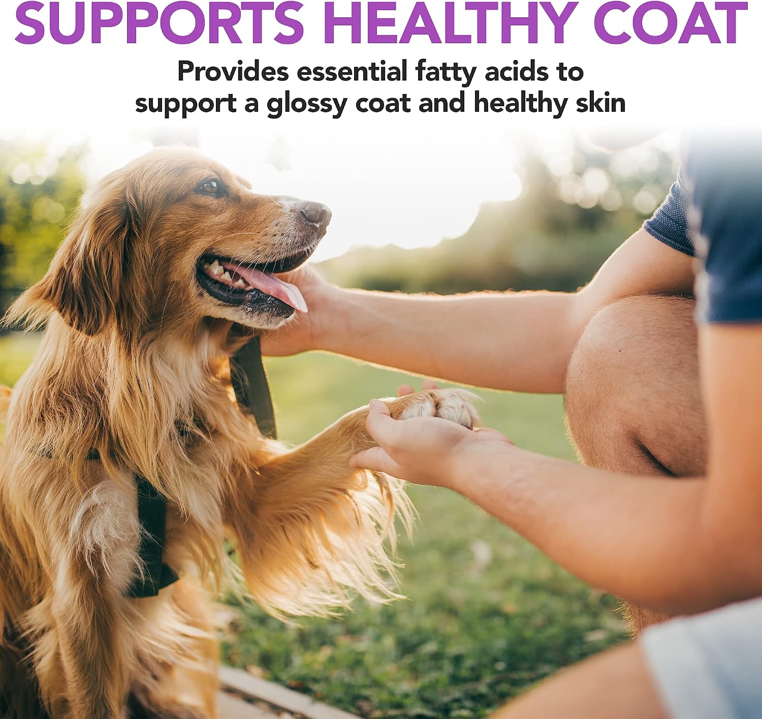 Vet's Best Snacks Masticables con Levadura de Cerveza y Ajo, Omega 3 para Perros, 60 unidades