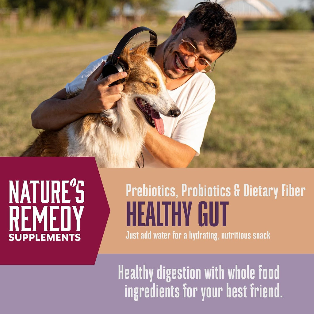 Whole Life Pet Healthy Gut Daily Supplement para Perros - Probióticos y Prebióticos con Calabaza - 90 Servicios