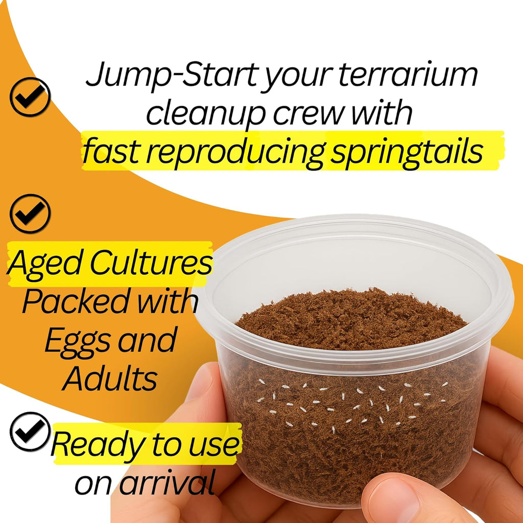Bioactive Combo: 25 Isópodos Powder Orange + 240 ml Colémbolos Tropicales Coco - TC INSECTS