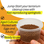 Bioactive Combo: 25 Isópodos Powder Orange + 240 ml Colémbolos Tropicales Coco - TC INSECTS