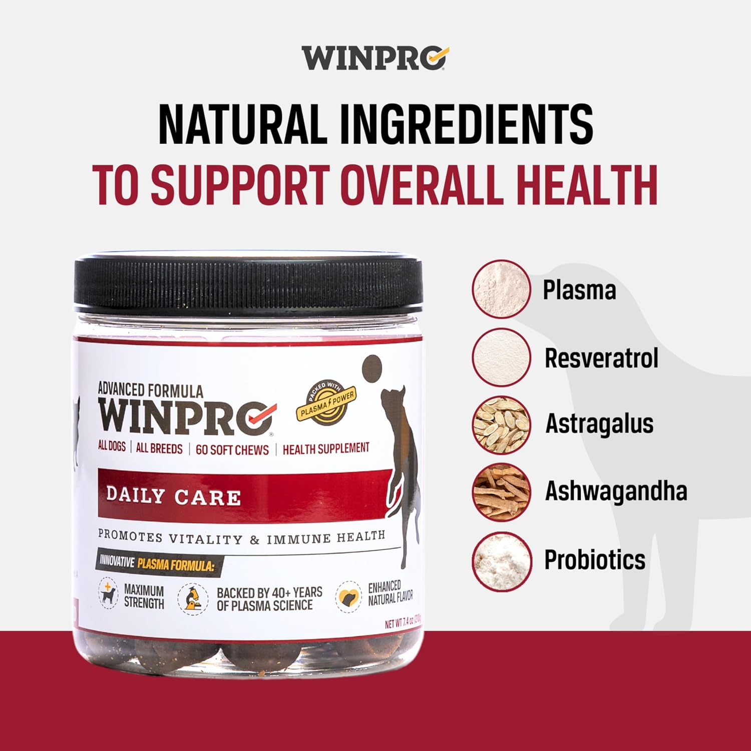 WINPRO Pet Daily Care - Snacks blandos para perros, 60 unidades, fórmula con plasma y probióticos