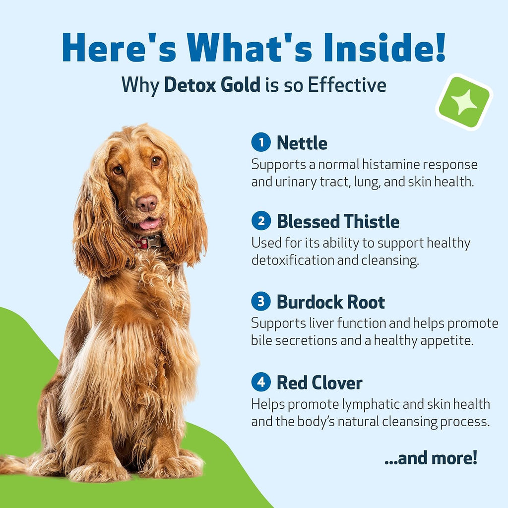 Pet Wellbeing Detox Gold for Dogs - Gentle Detox Herbal Supplement with Nettle, Blessed Thistle, and Burdock - 59 ml