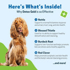 Pet Wellbeing Detox Gold for Dogs - Gentle Detox Herbal Supplement with Nettle, Blessed Thistle, and Burdock - 59 ml