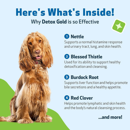 Pet Wellbeing Detox Gold para Perros - – Bardana (Arctium lappa): Con propiedades depurativas, ayuda a mantener la – Image 6