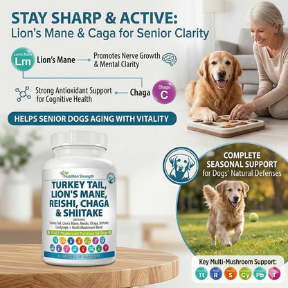 Nutrition Strength 15-in-1 Mushroom Support – Reishi: Ayuda a mantener una respuesta inflamatoria saludable y – Image 3