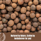HerbsForever Vidanga (Embelia Ribes) Powder - 454 g