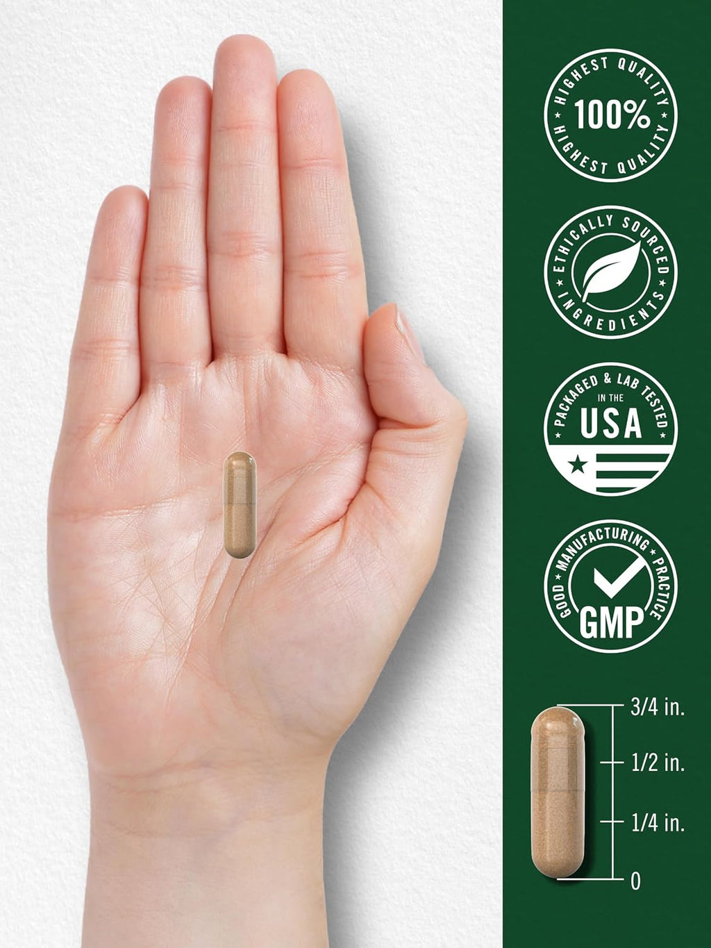 Carlyle Suplemento de Vitex Chasteberry | 150 Cápsulas | Vitex Agnus-Castus para Mujeres | No-GMO, Sin Gluten