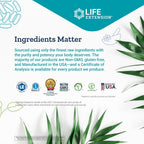 Life Extension TMG 500mg, 100 Cápsulas Líquidas Veg (Pack de 2) - Trimetilglicina (Glicina Betaína) - Suplemento Sin Gluten, No-GMO, Vegetariano