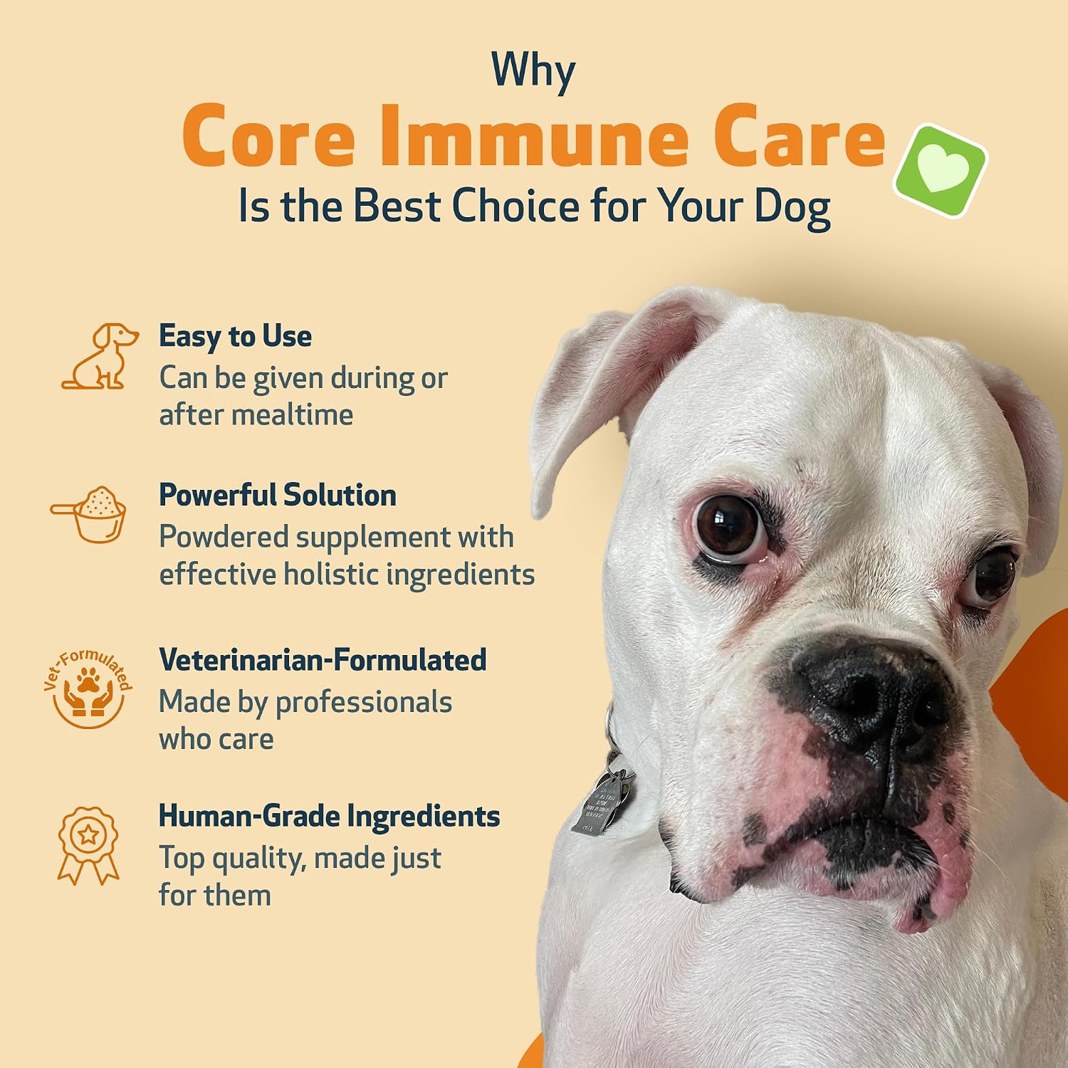 Pet Wellbeing Core Immune Care para Perros - Antioxidante Diario en Polvo (105 g)