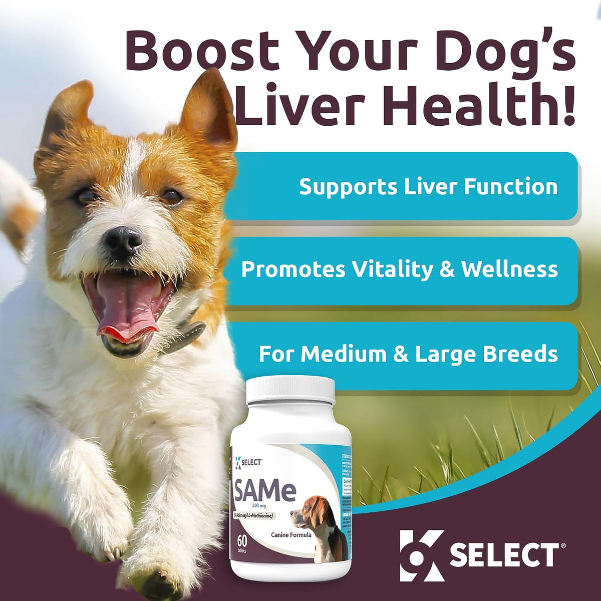 SAM-e para perros adultos medianos y grandes, 60 comprimidos, 200 mg de S-Adenosil-L-Metionina Activa – Image 2