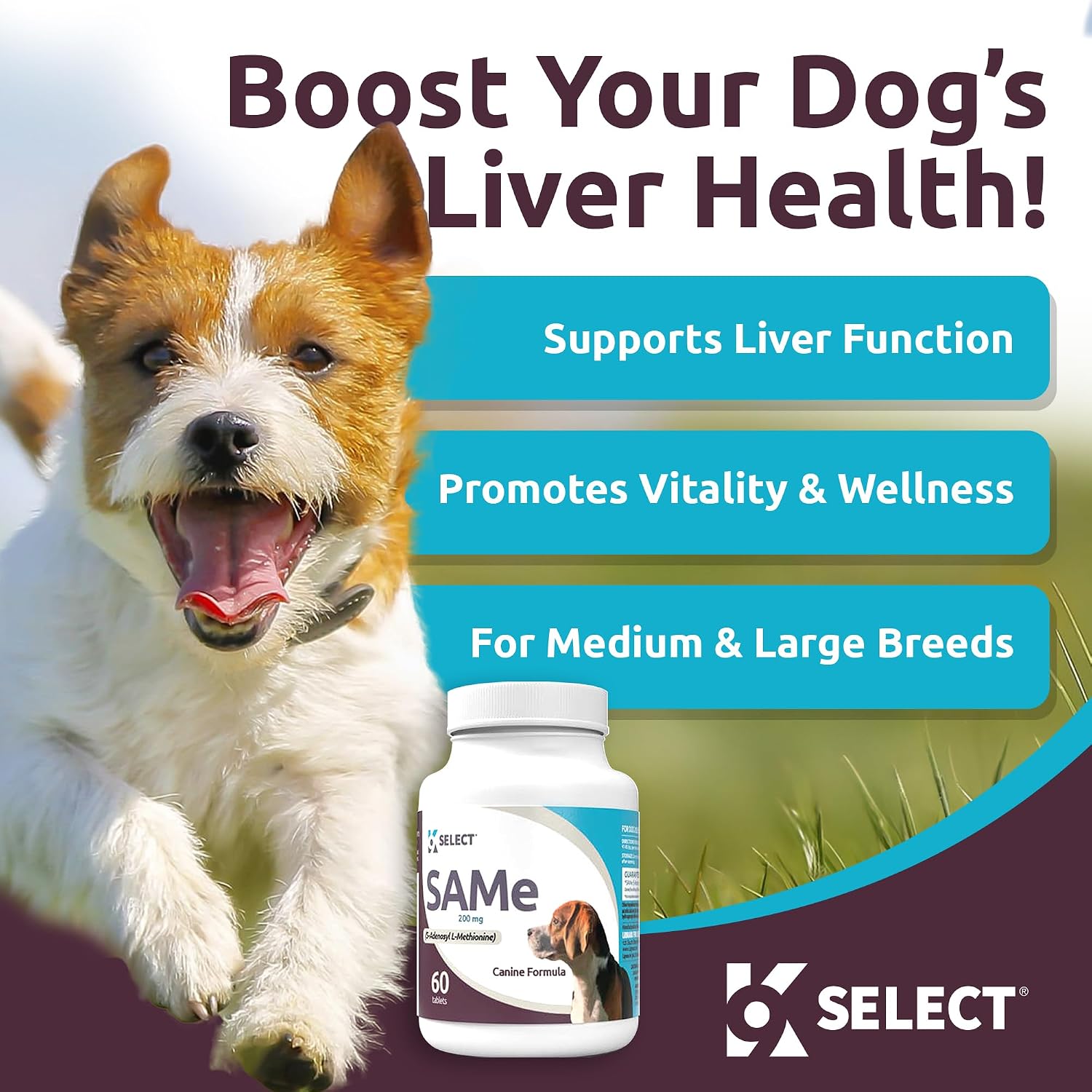 SAM-e para perros adultos medianos y grandes, 60 comprimidos, 200 mg de S-Adenosil-L-Metionina Activa