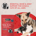 Animal Essentials Sea-Cal - Polvo de Calcio de Algas Marinas Puras para Perros y Gatos - 340 g